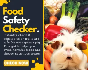 food checker banner